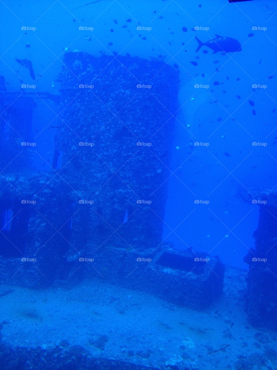 Underwater photo . Underwater photo of wreckage in Hawaii 