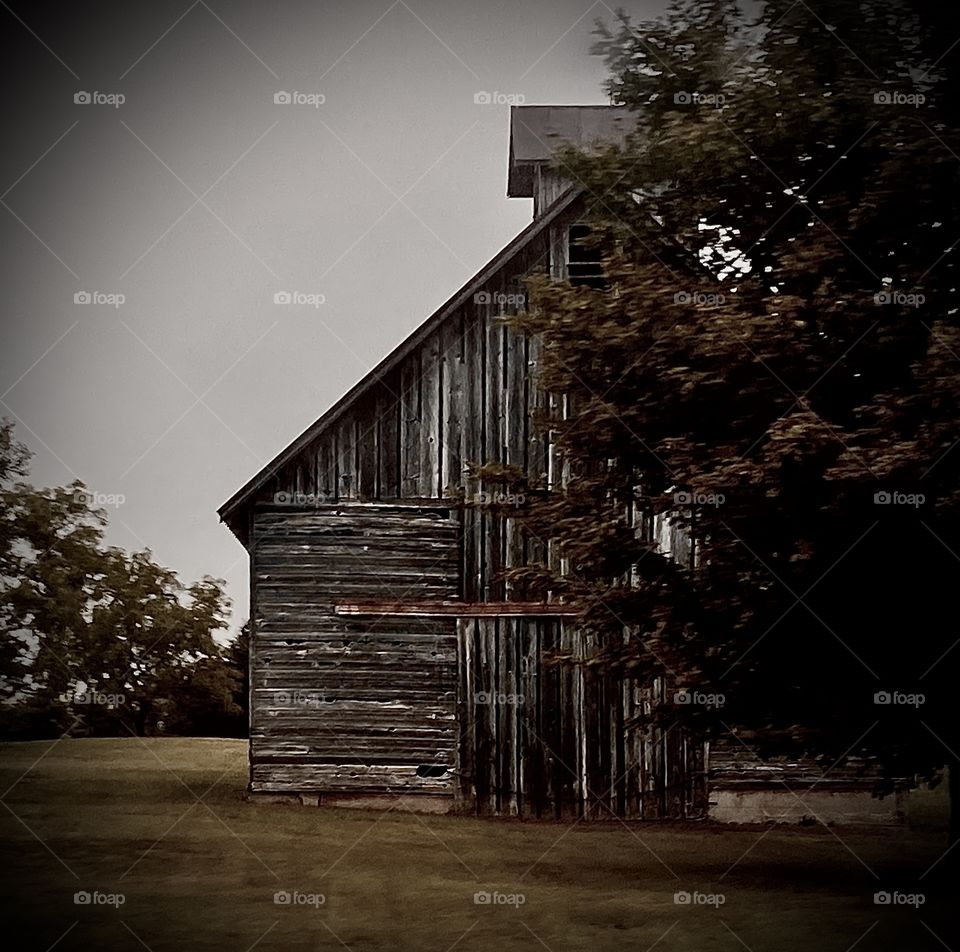 Hidden Abandoned Barn