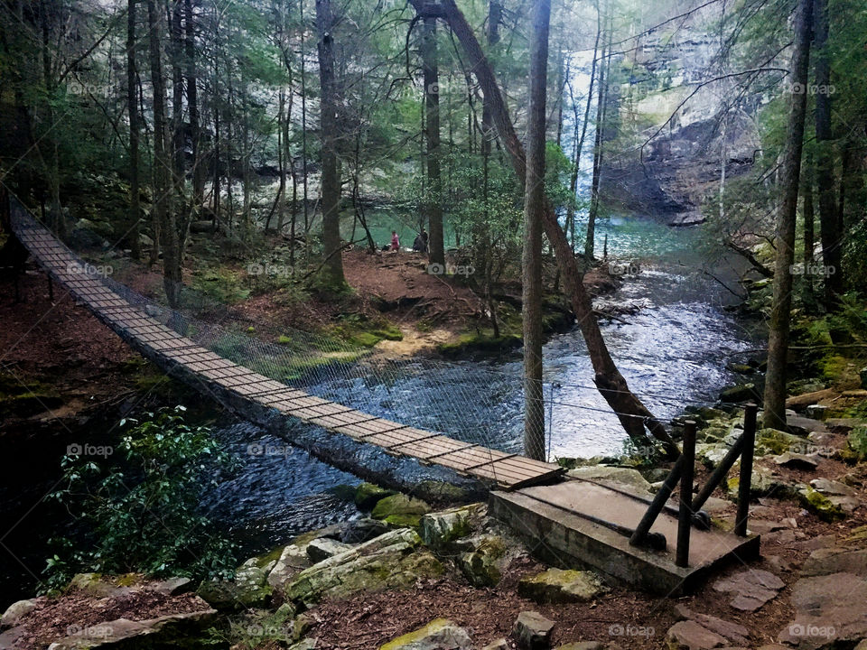 A suspension footbridge spanning the creek near the base of the waterfall at Foster Falls in South Cumberland State Park in Tennessee.
