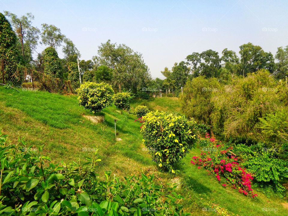 mobile series:plants