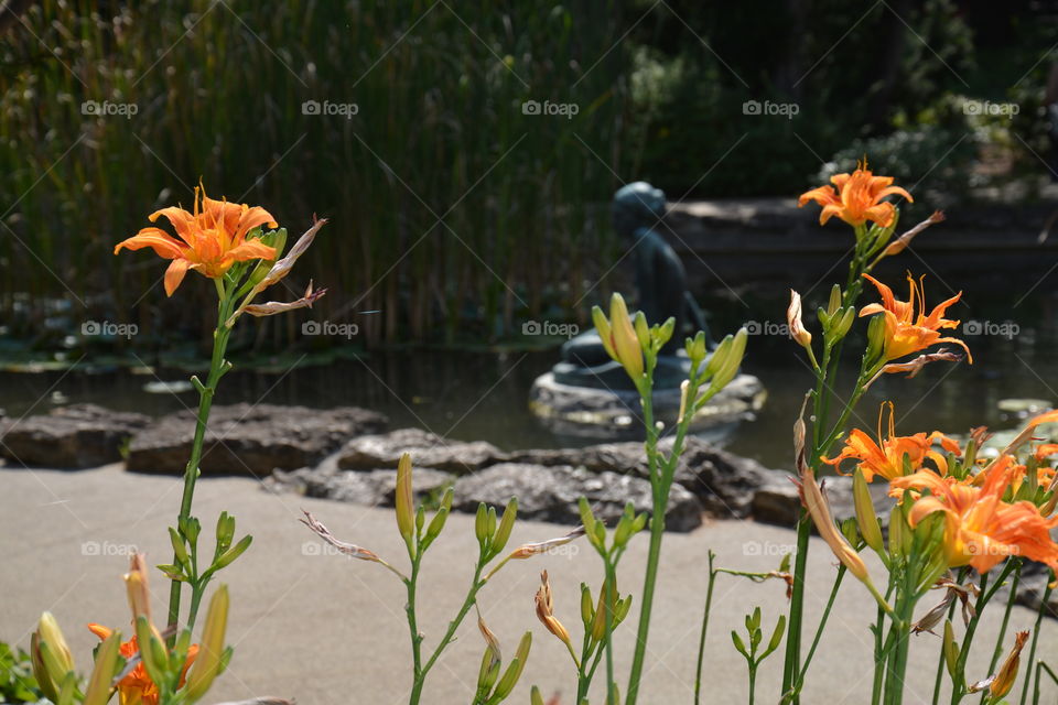 Flowers with a mermaid on the background at the Japanese Garden.