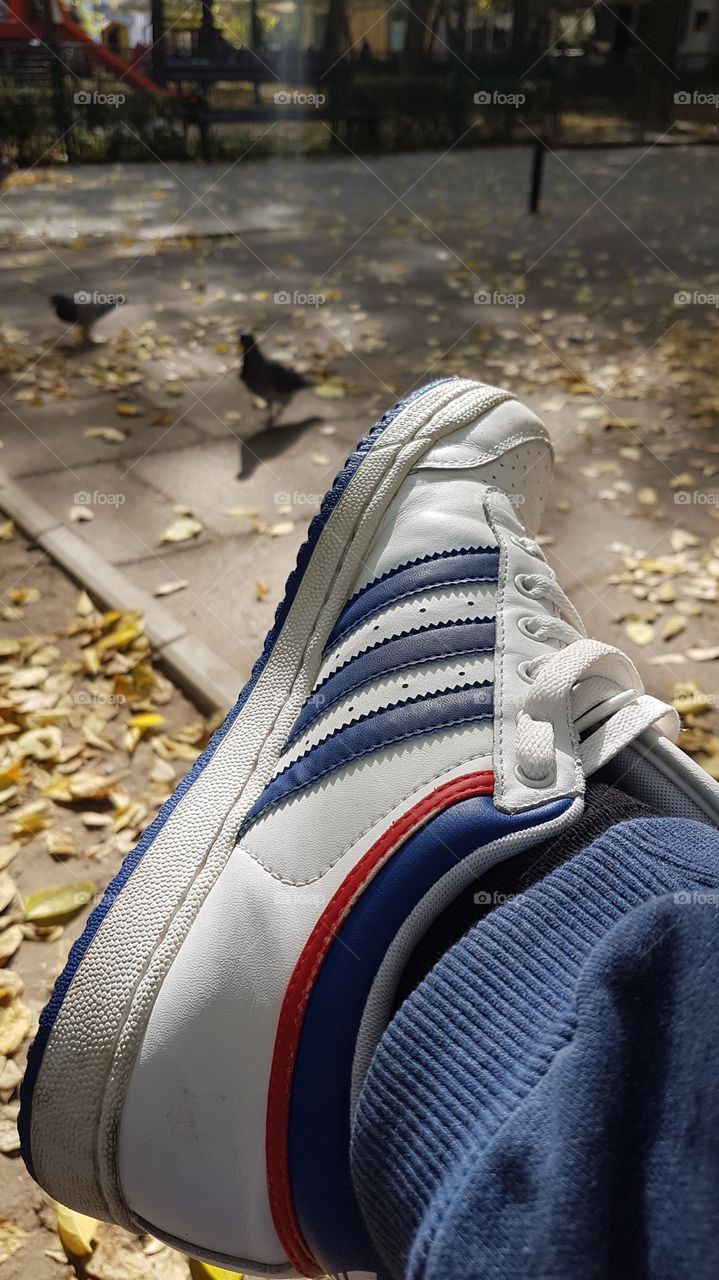 adidas snickers, autumn has arrived