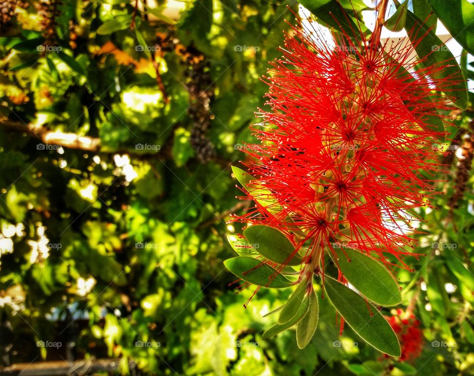 Red color in action!