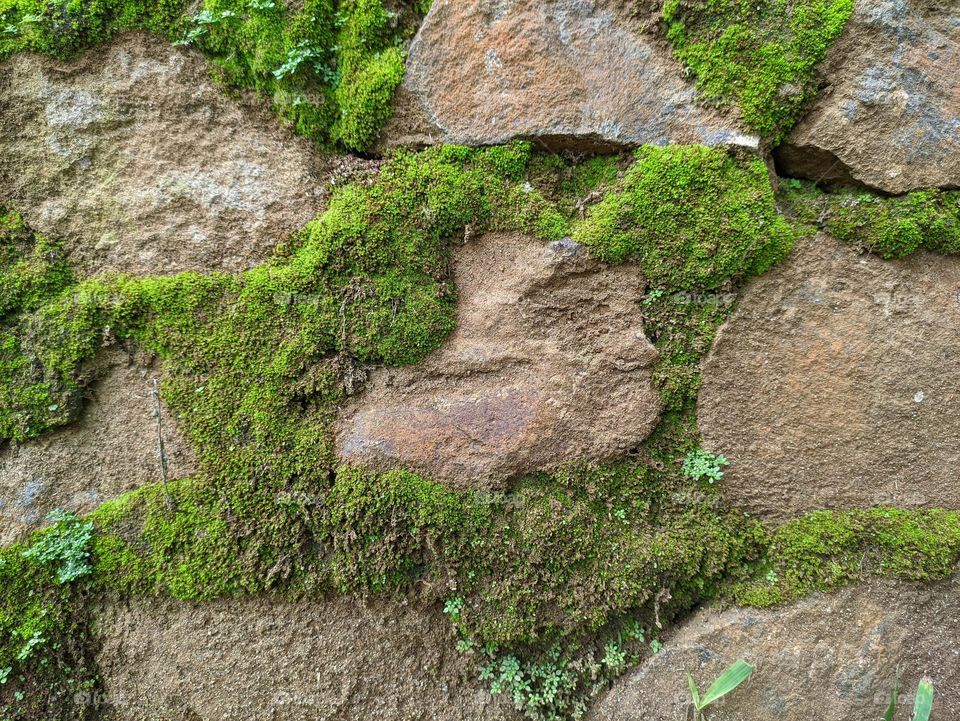 large stone arrangement covered with green moss