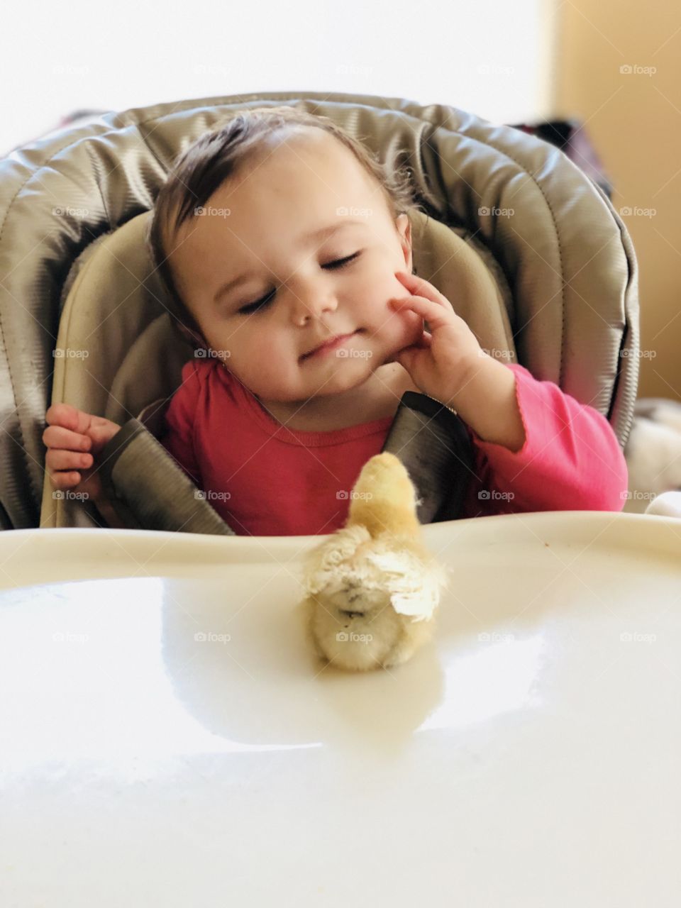 Baby meets chick 