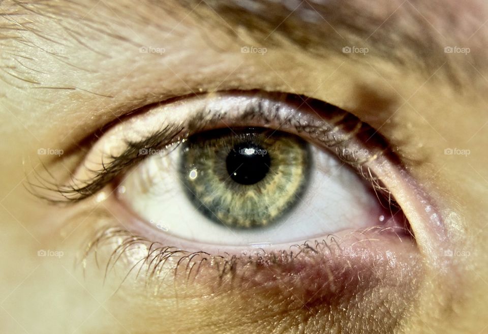 Close-up of human eye