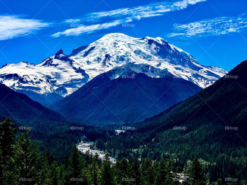Mountain Rainier 