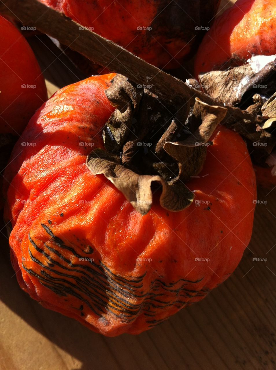 composition of persimmon, typical fruits of autumn