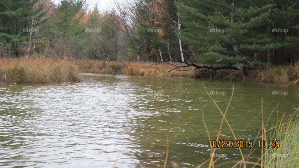 Northern Michigan 