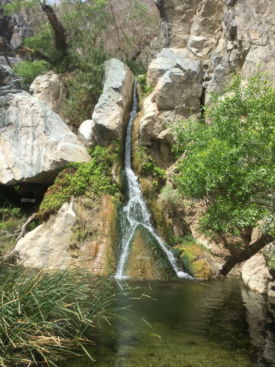 Beautiful nature waterfall