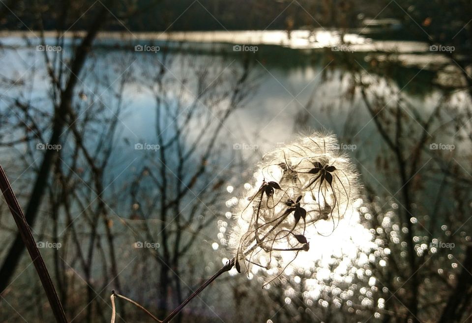 Sunlight reflections