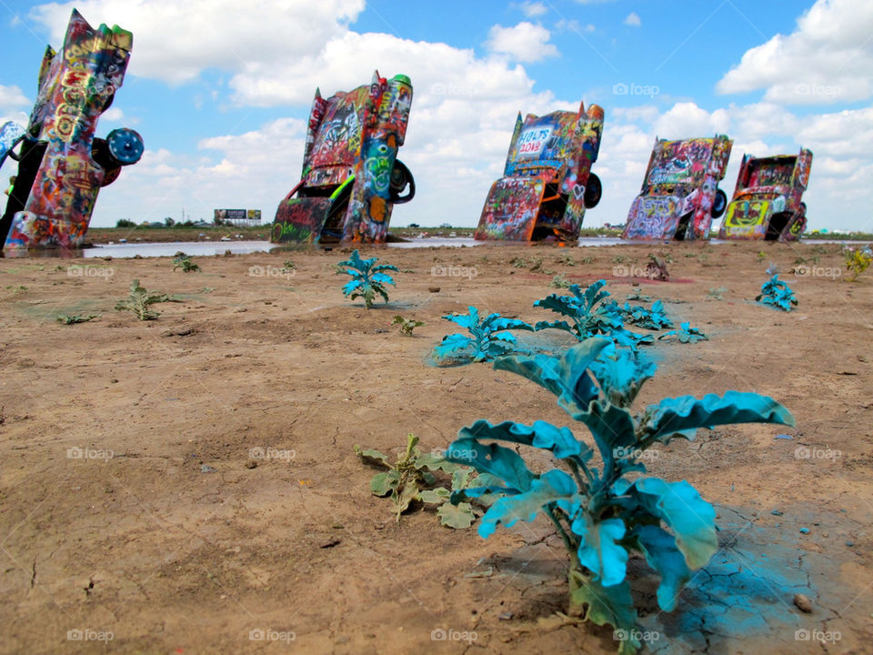 Cadillac Ranch