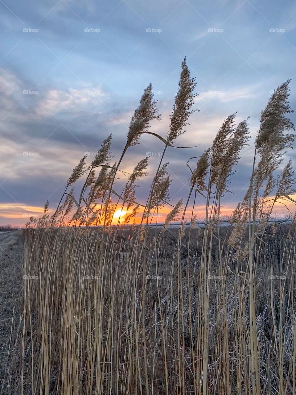 Sunset on the prairies 