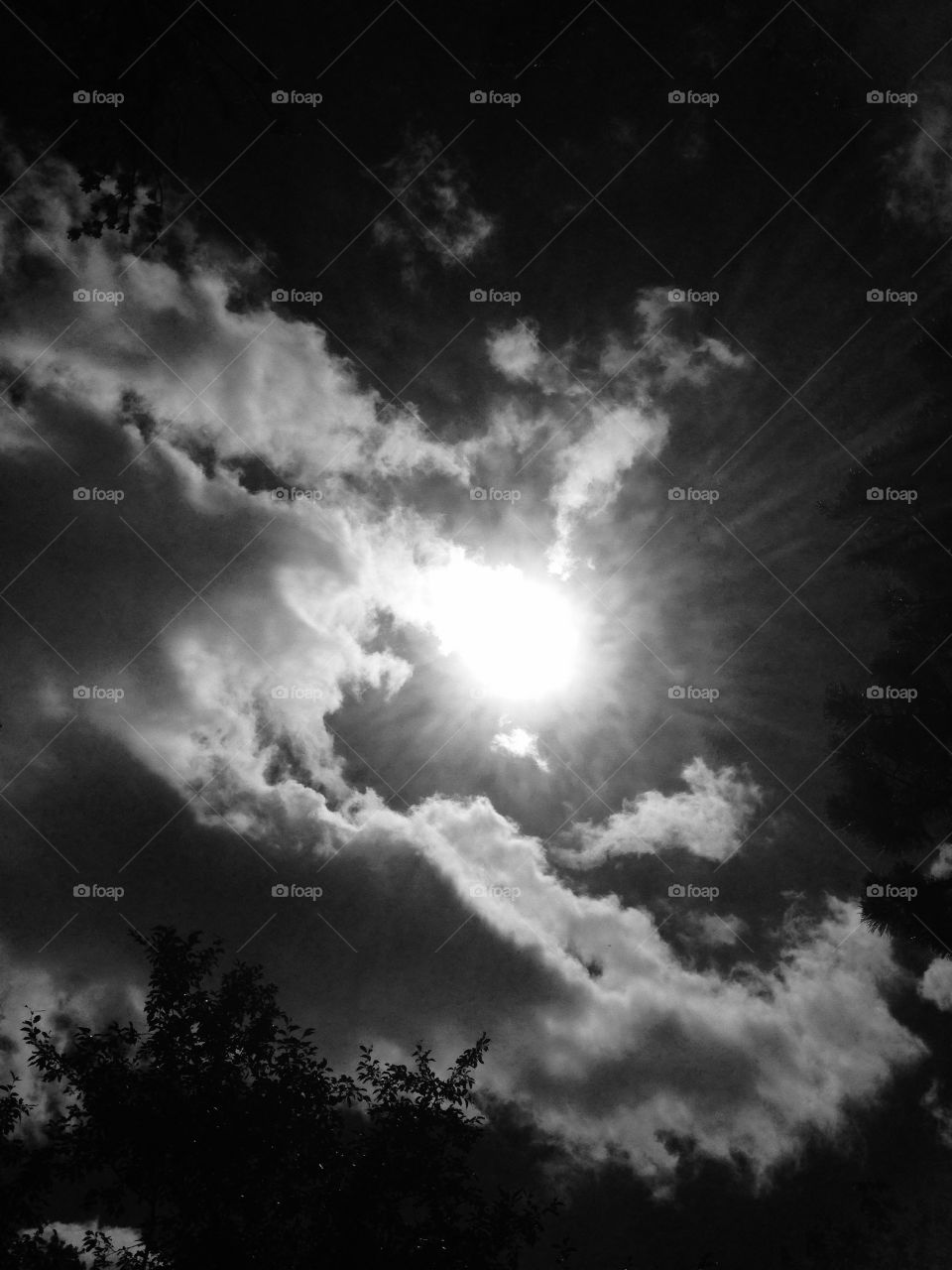 Sun in B&W