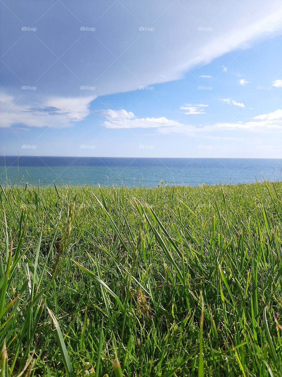 White, Blue & Green - Clouds, Sky, Sea & Grass