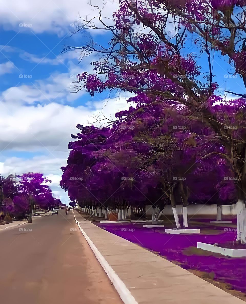 Brazilian Spring!!!!