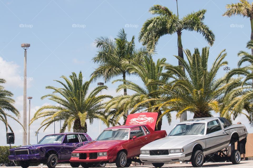 Lowrider and palms