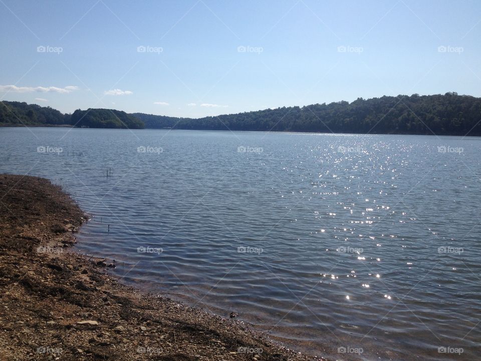 On the shore of a lake