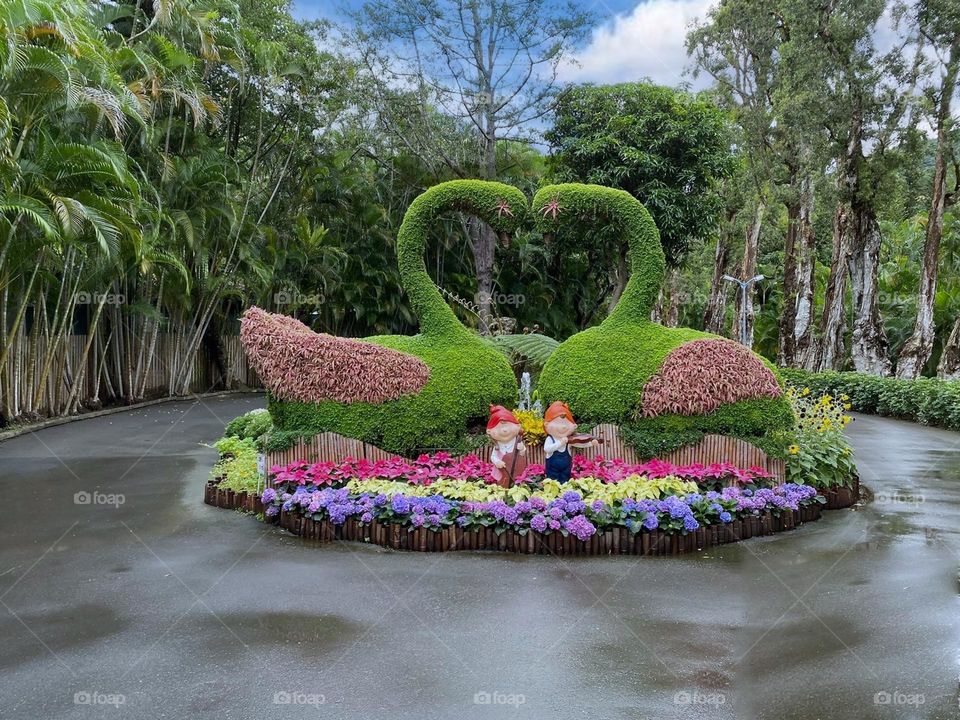 Beautiful flowers garden natural landscape