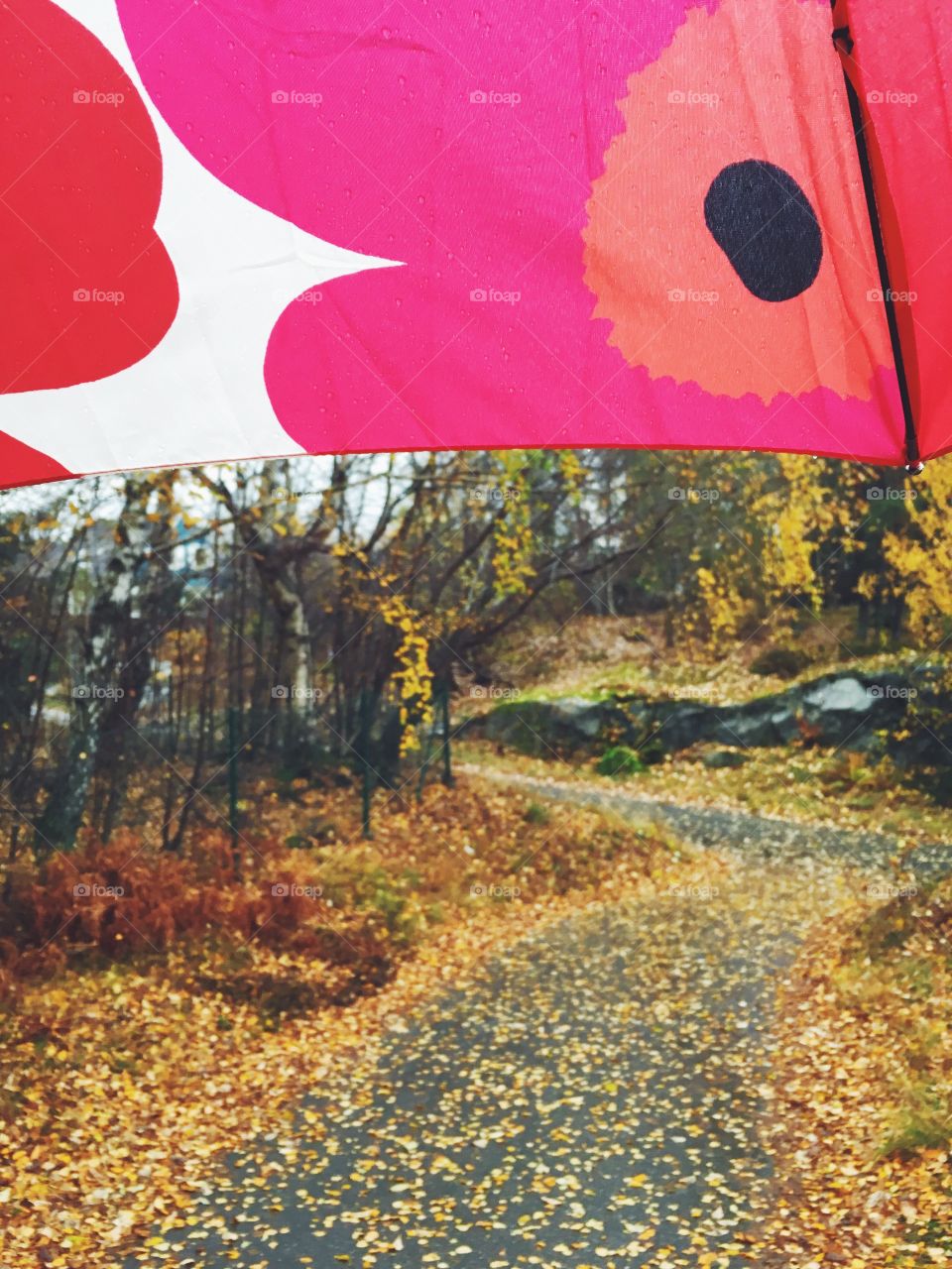 autumn under my umbrella