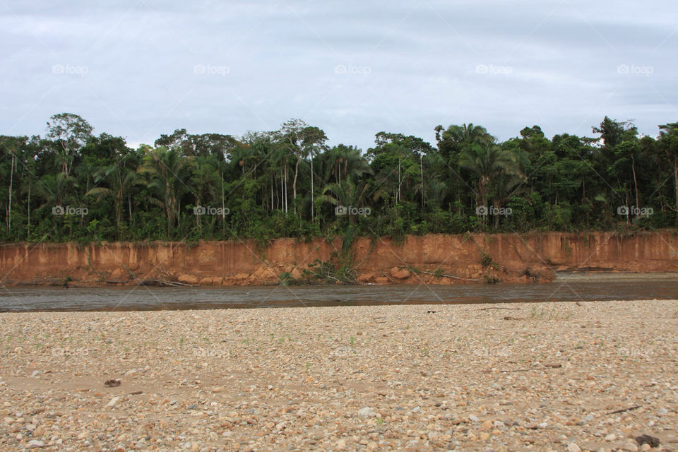 sky water forest sand by christ