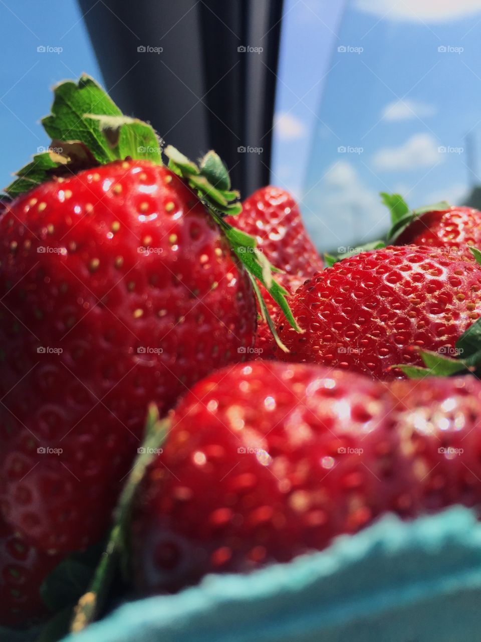 Berry  interesting ..