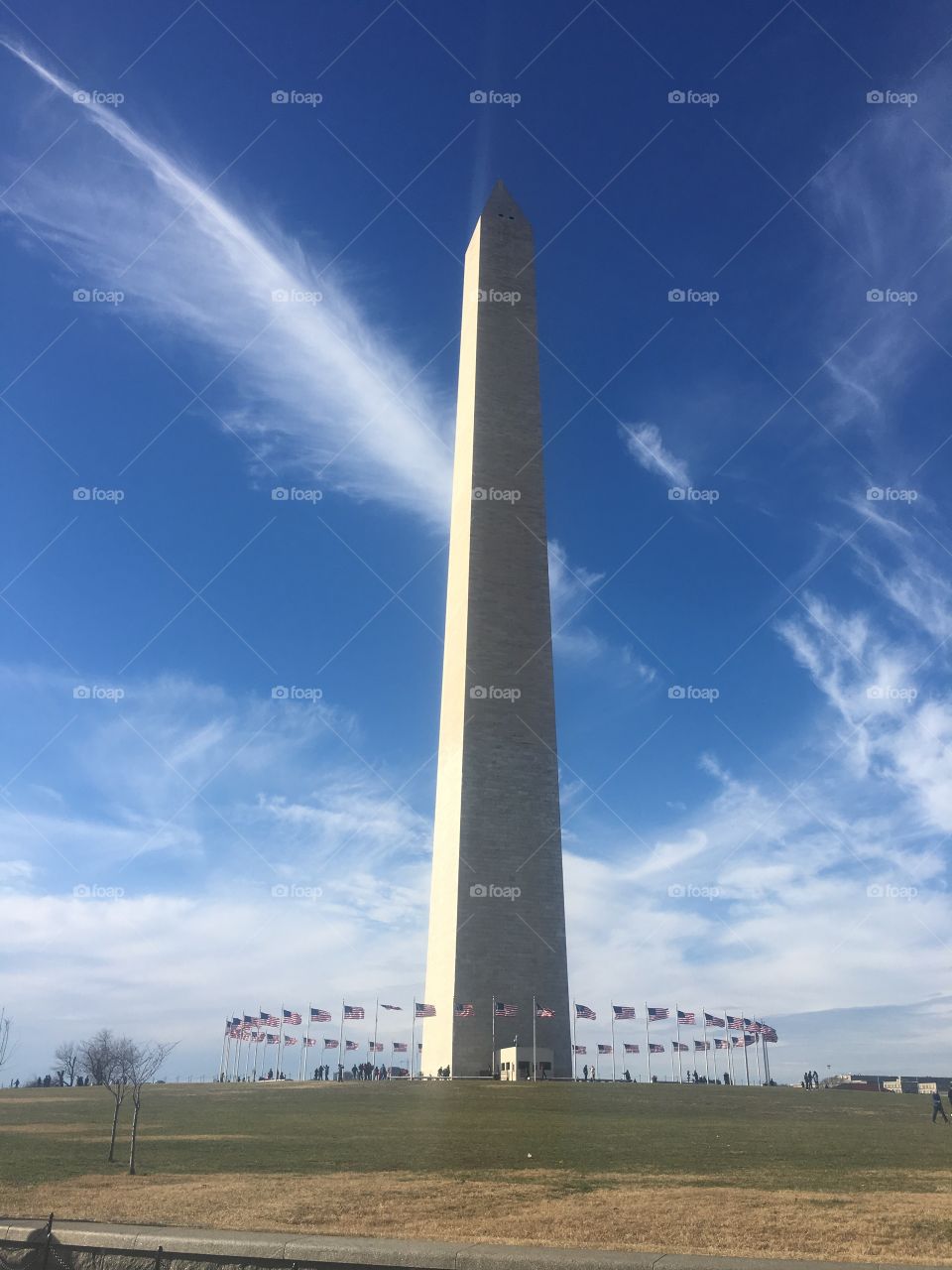 The Wahington Monument