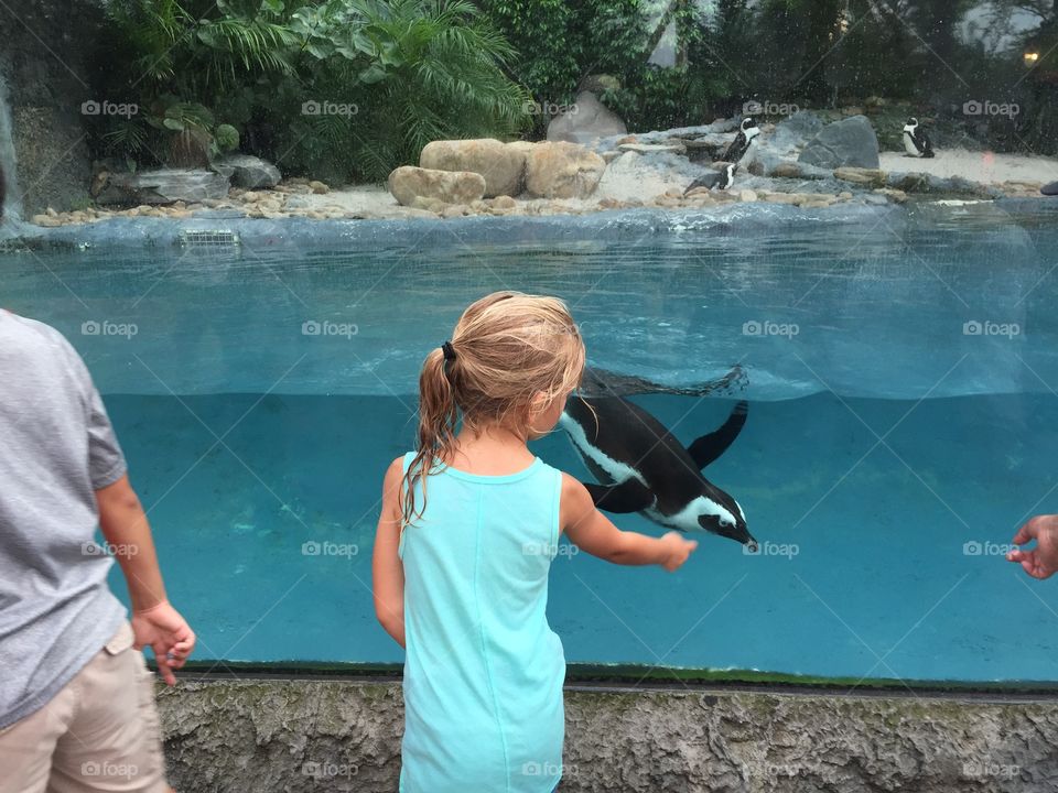 A girl and a Penguin