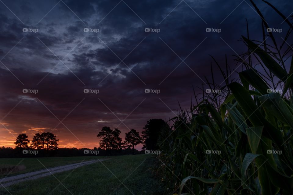 The coming of a new day on a farm in Raleigh North Carolina. 