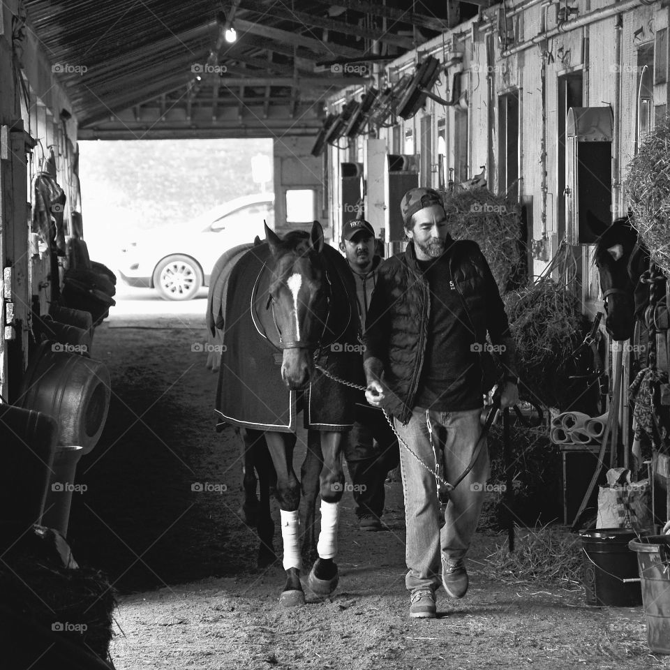 Man walking with horse