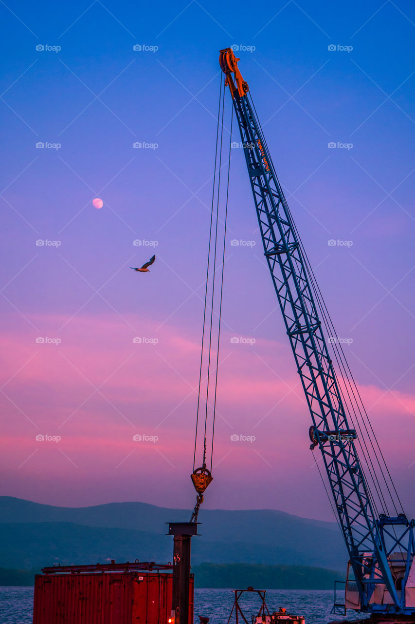 crane