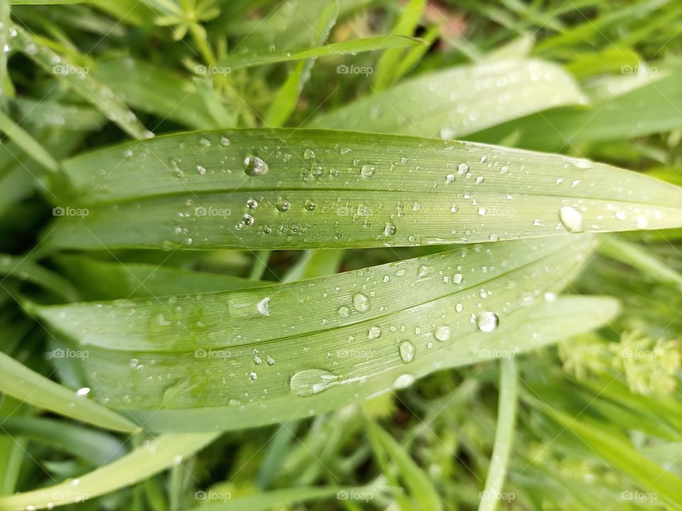 The beauty in nature