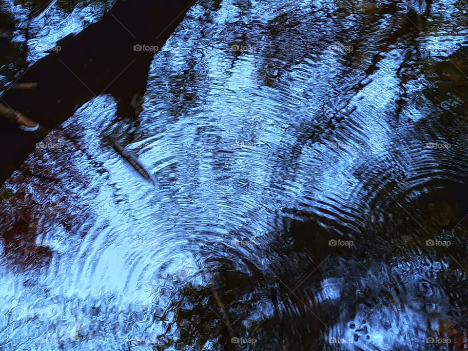 reflection  pond ripples