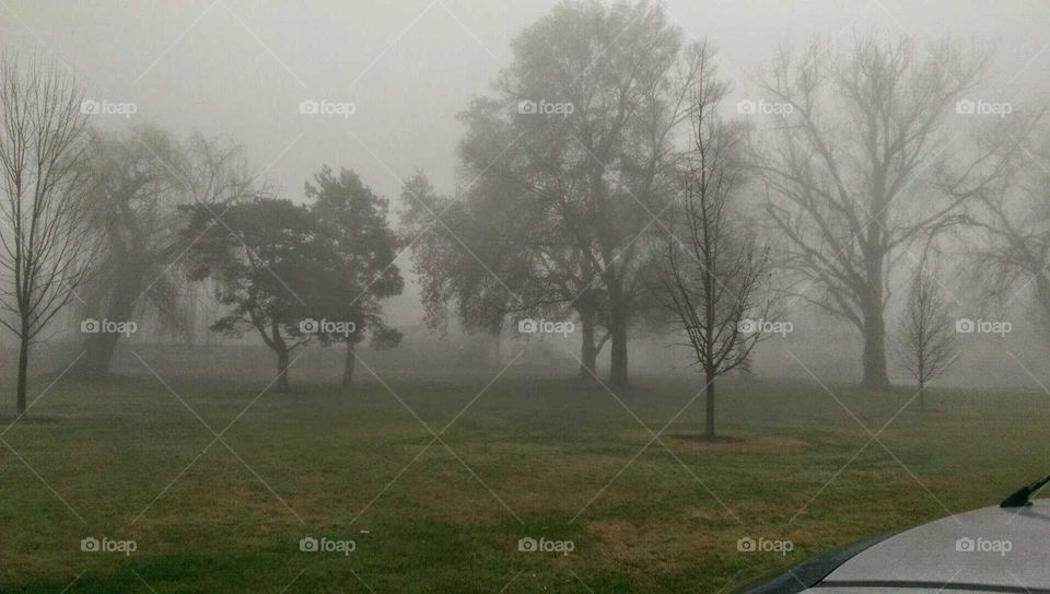 Foggy morning to beautiful to pass on taking a picture