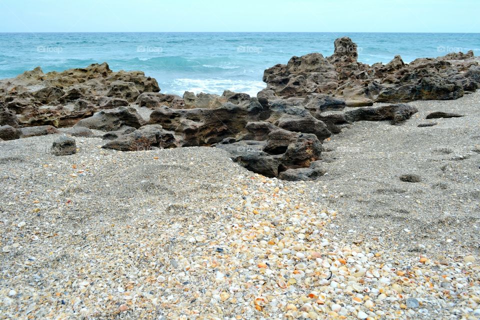 shells rocks and surf. Jupiter Florida's shells, rocks and surf