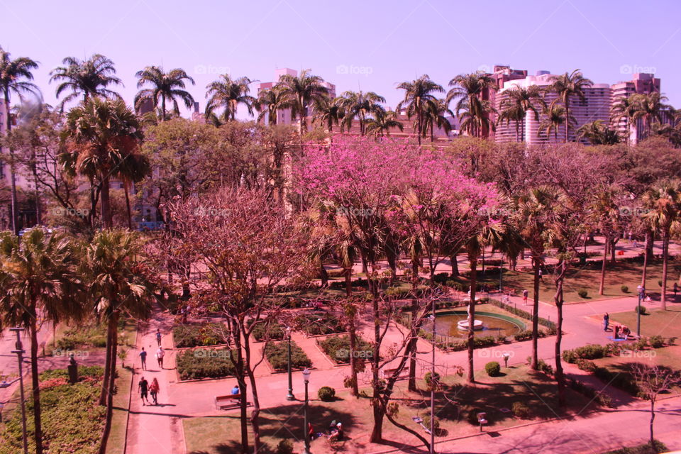 View of the park through a window with pink glass