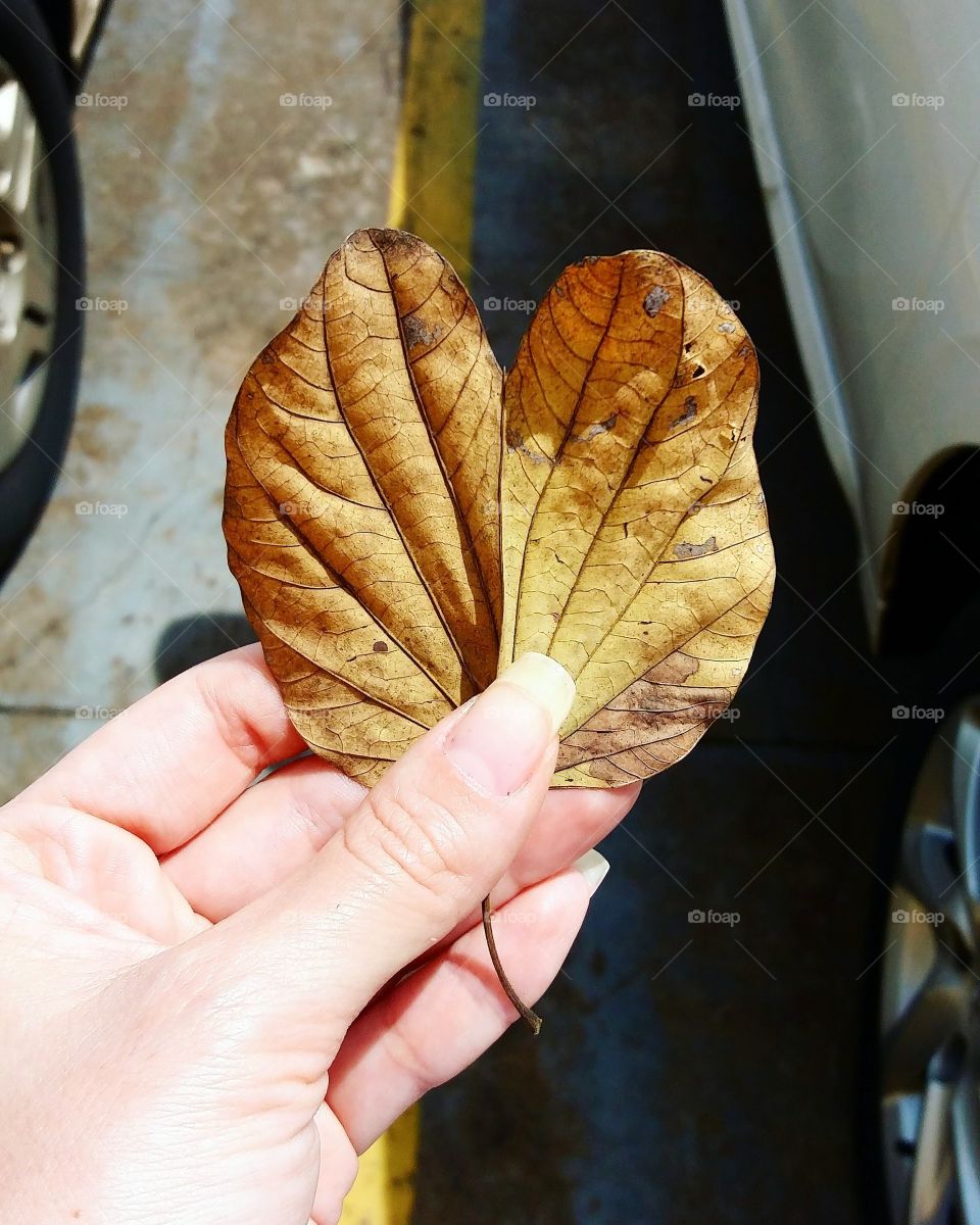 Mais amor! 💛🍁🍂