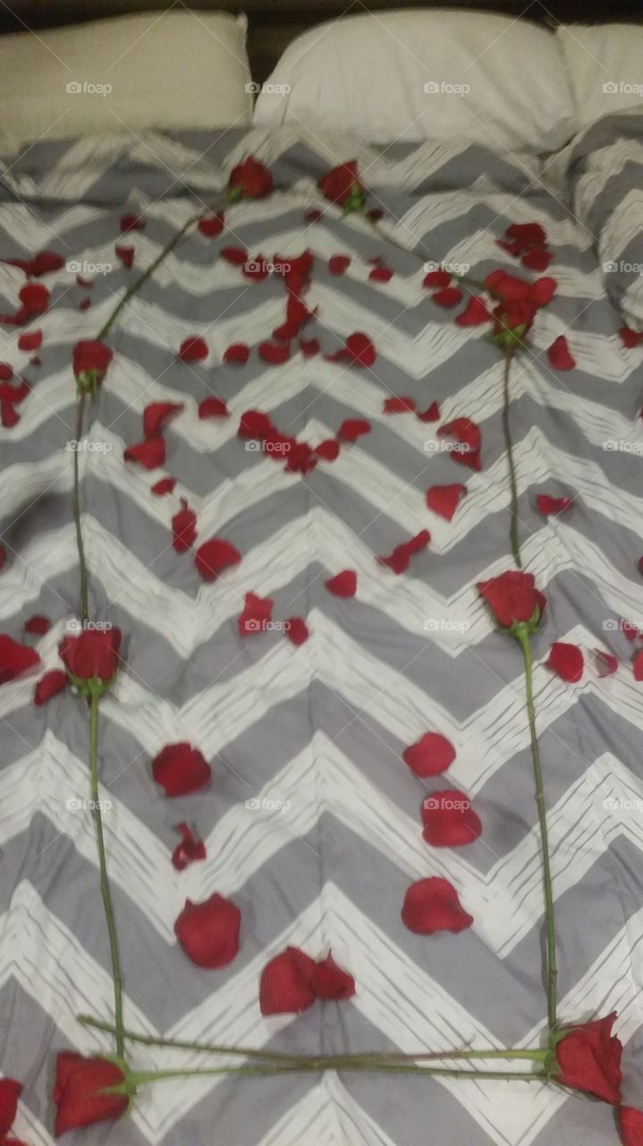 No Person, Decoration, Pattern, Paper, Desktop