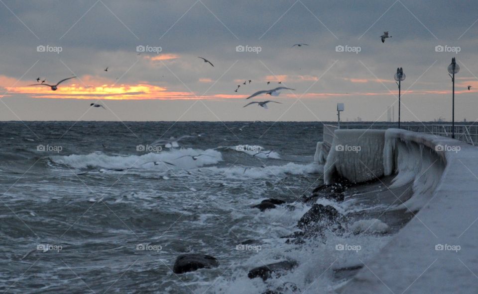 Water, Sea, Ocean, Beach, Sunset