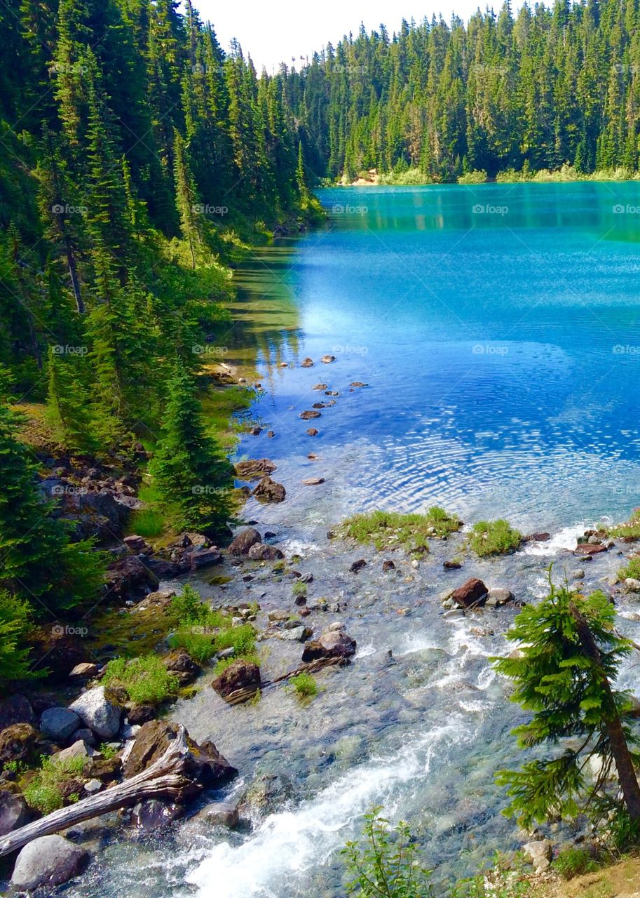 View of idyllic lake