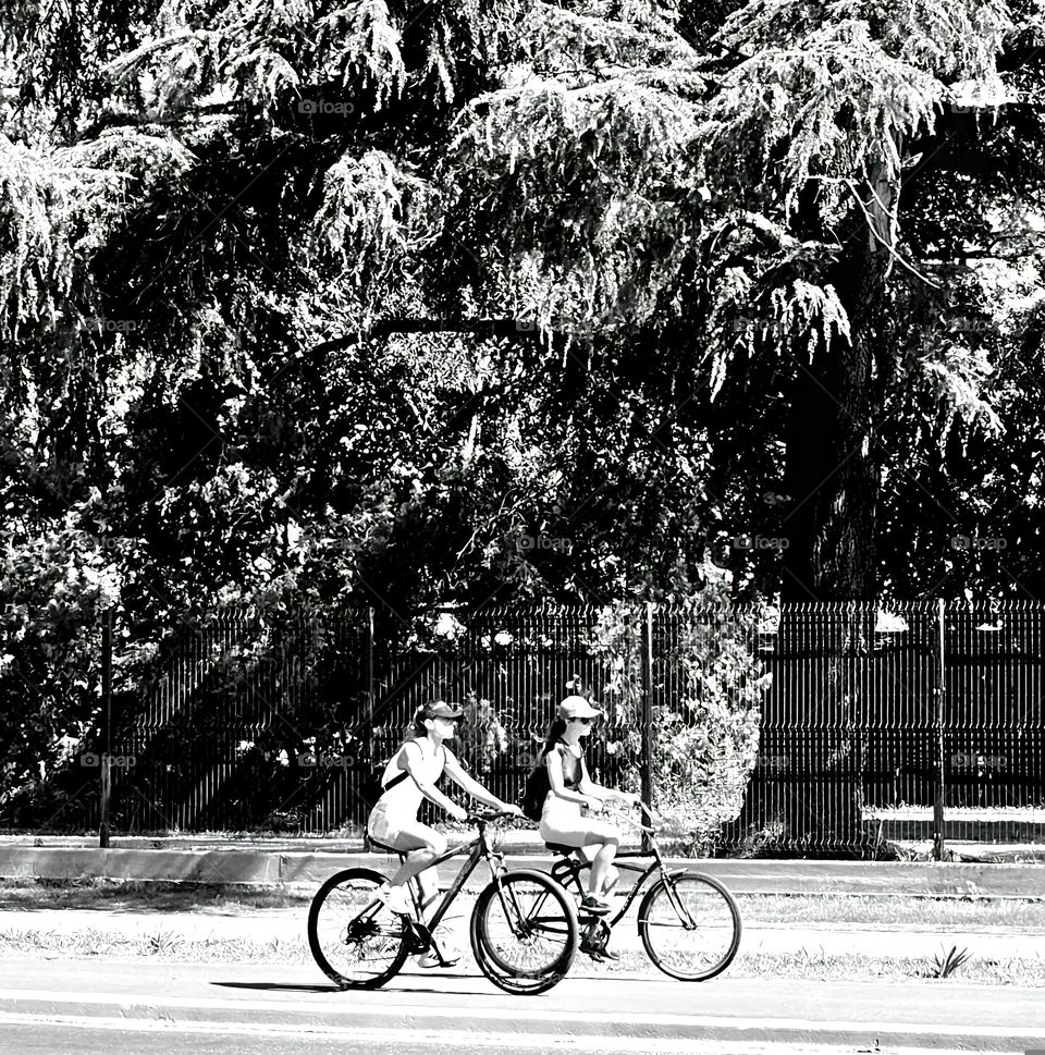 Saturday activities, riding a bike on a sunny summer day. The beauty of mature trees and their branches swaying in the wind. A lovely portrait of a sunny day. Timeless in black and white.