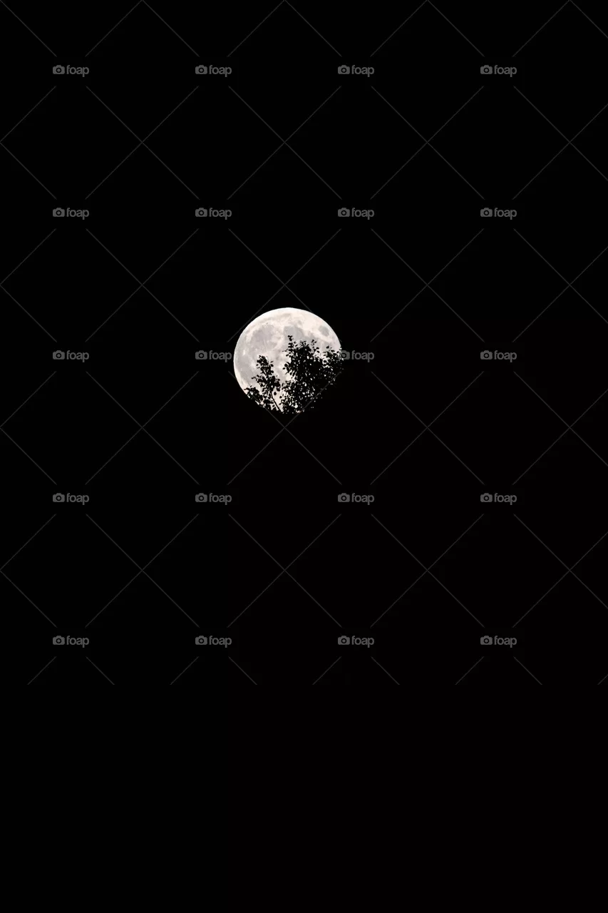 to the moon and back