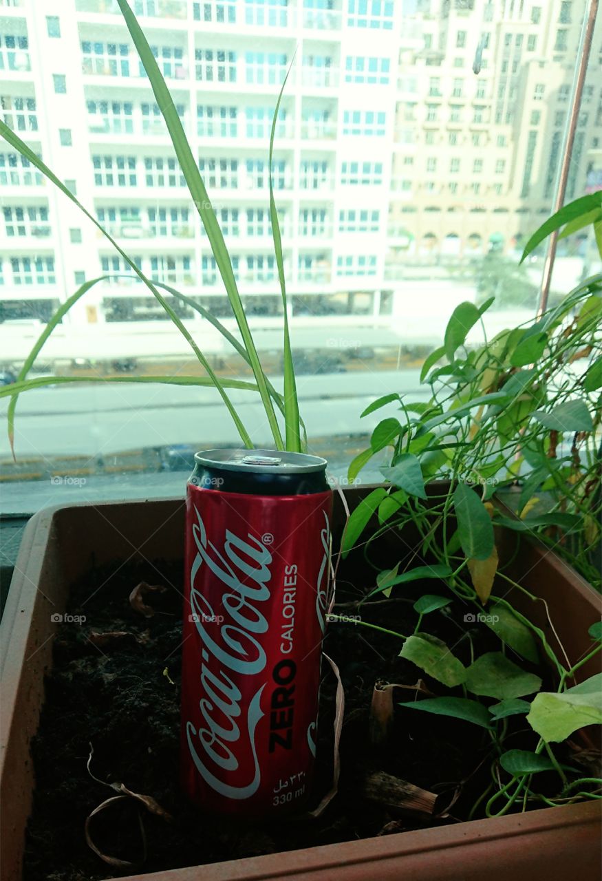 Welcome to Foap Plus!