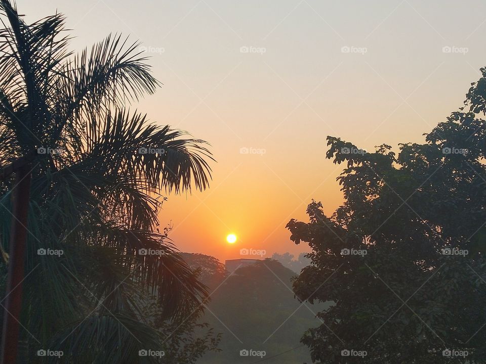 Morning sunrise view from my house.🤩 Watching this rising Sun every single day makes me happy.📸