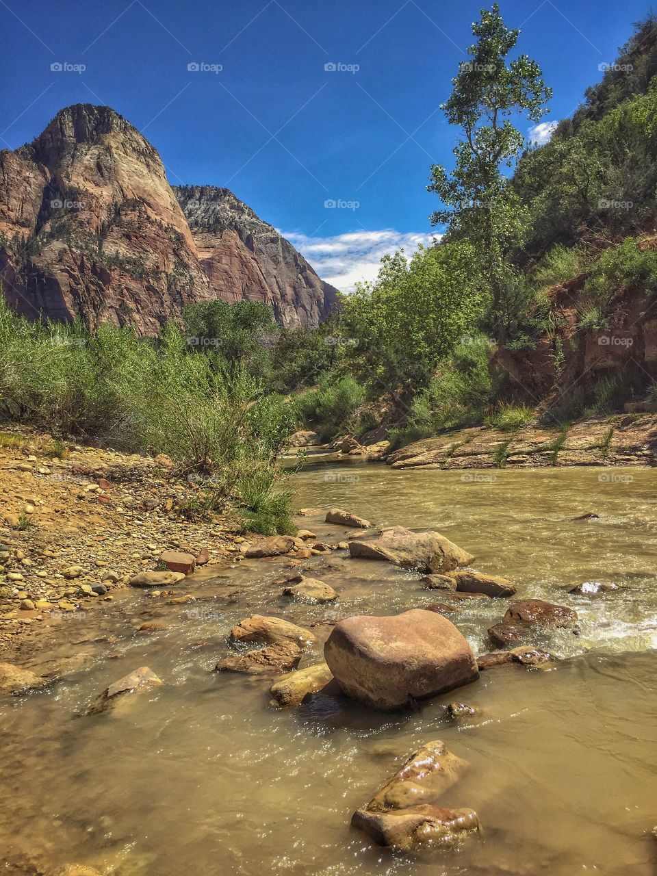 River in Zion