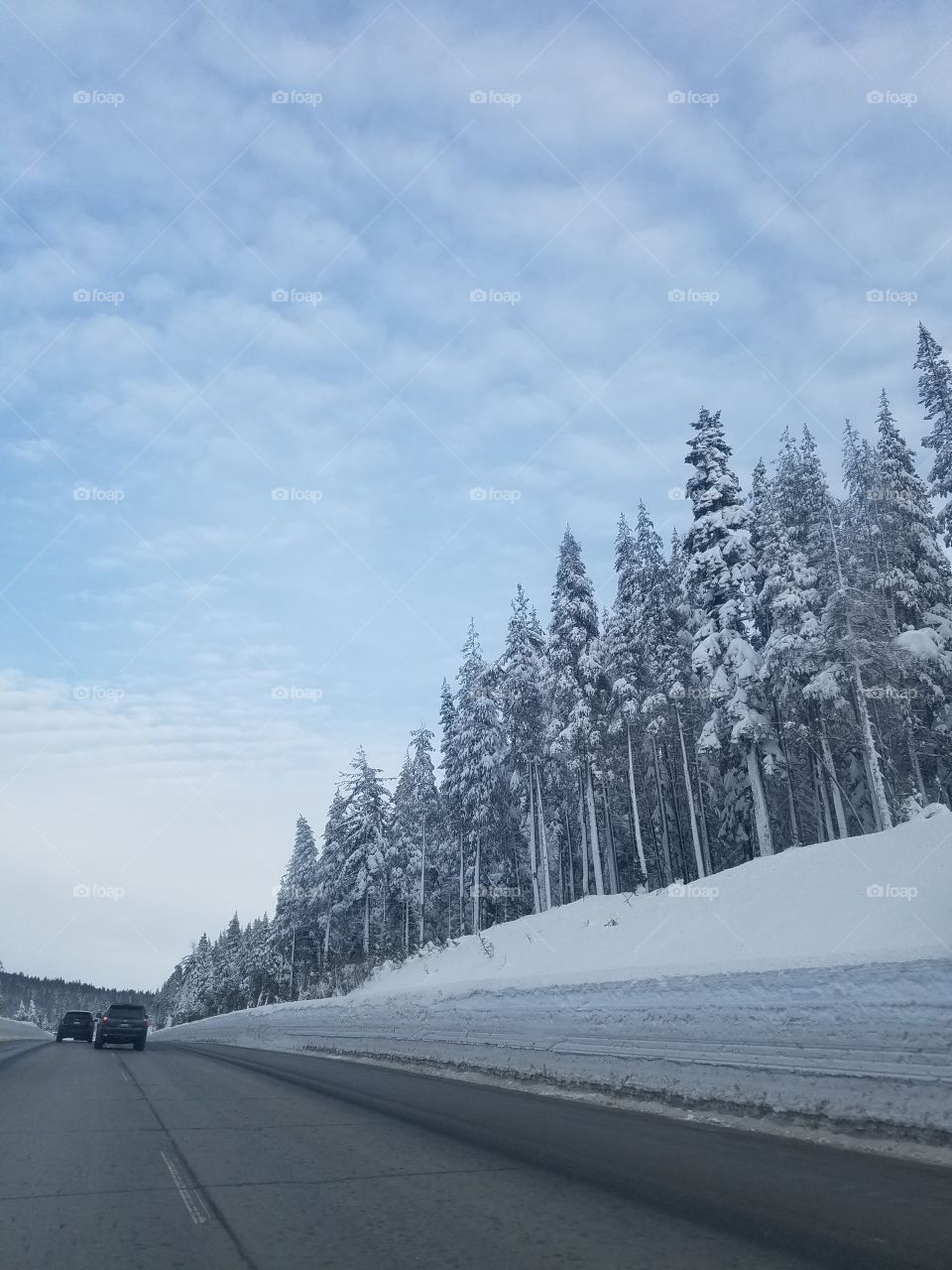 Snow In The Sierra Mountains