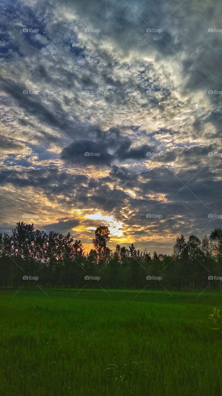 morning time mood of nature