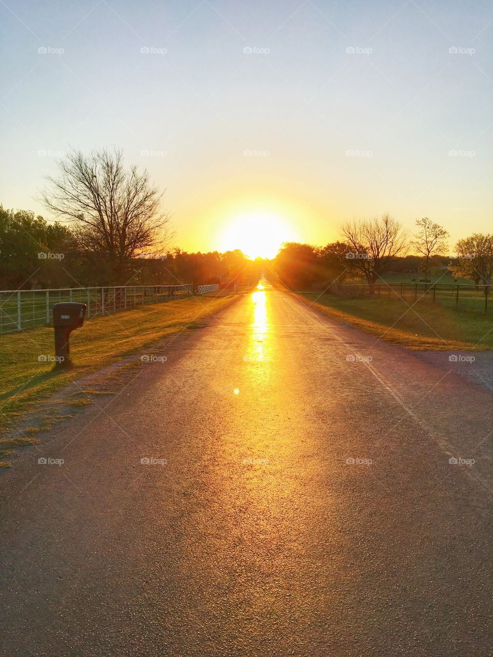 Sun reflecting on empty road