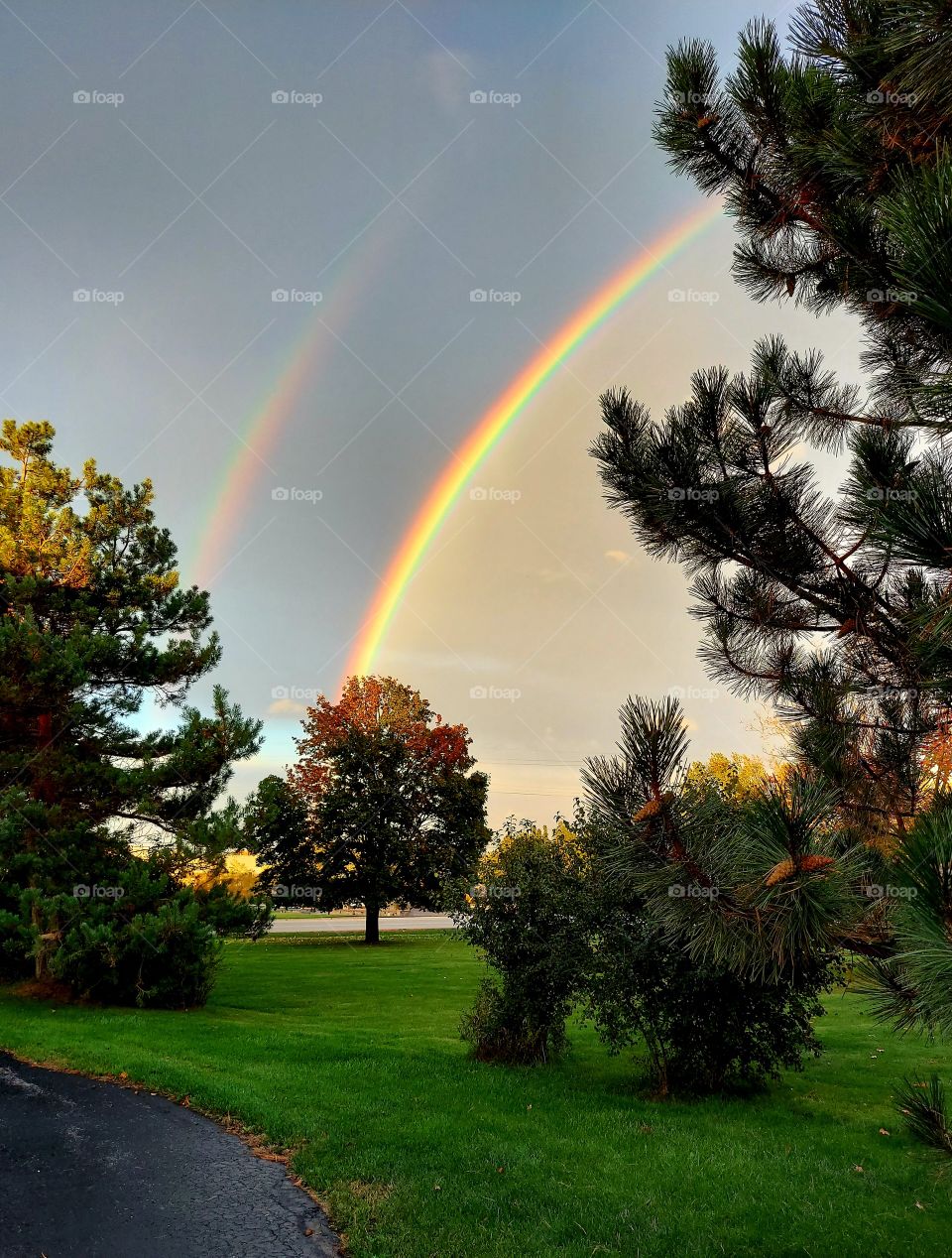 Autumn Rainbow