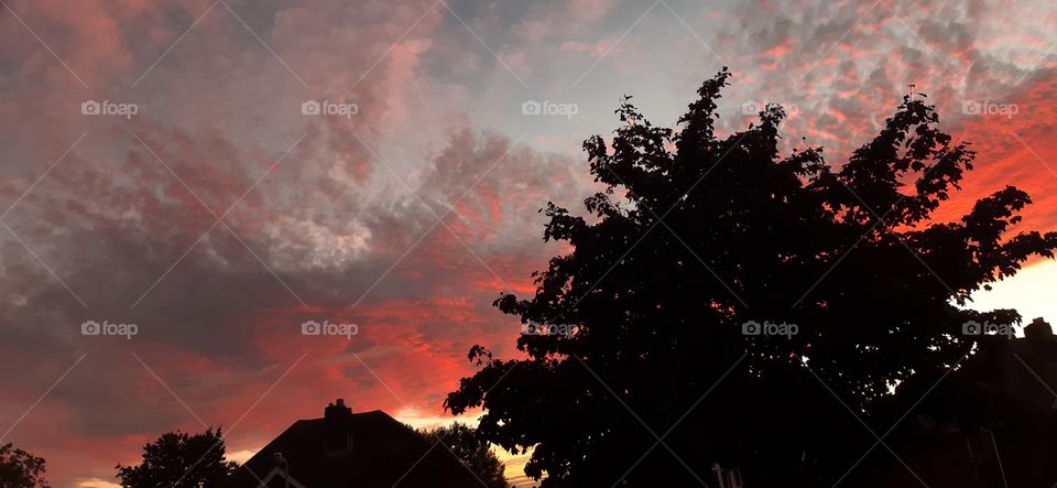 The sky can be one weird thing to look at sometimes yet be so beautiful.